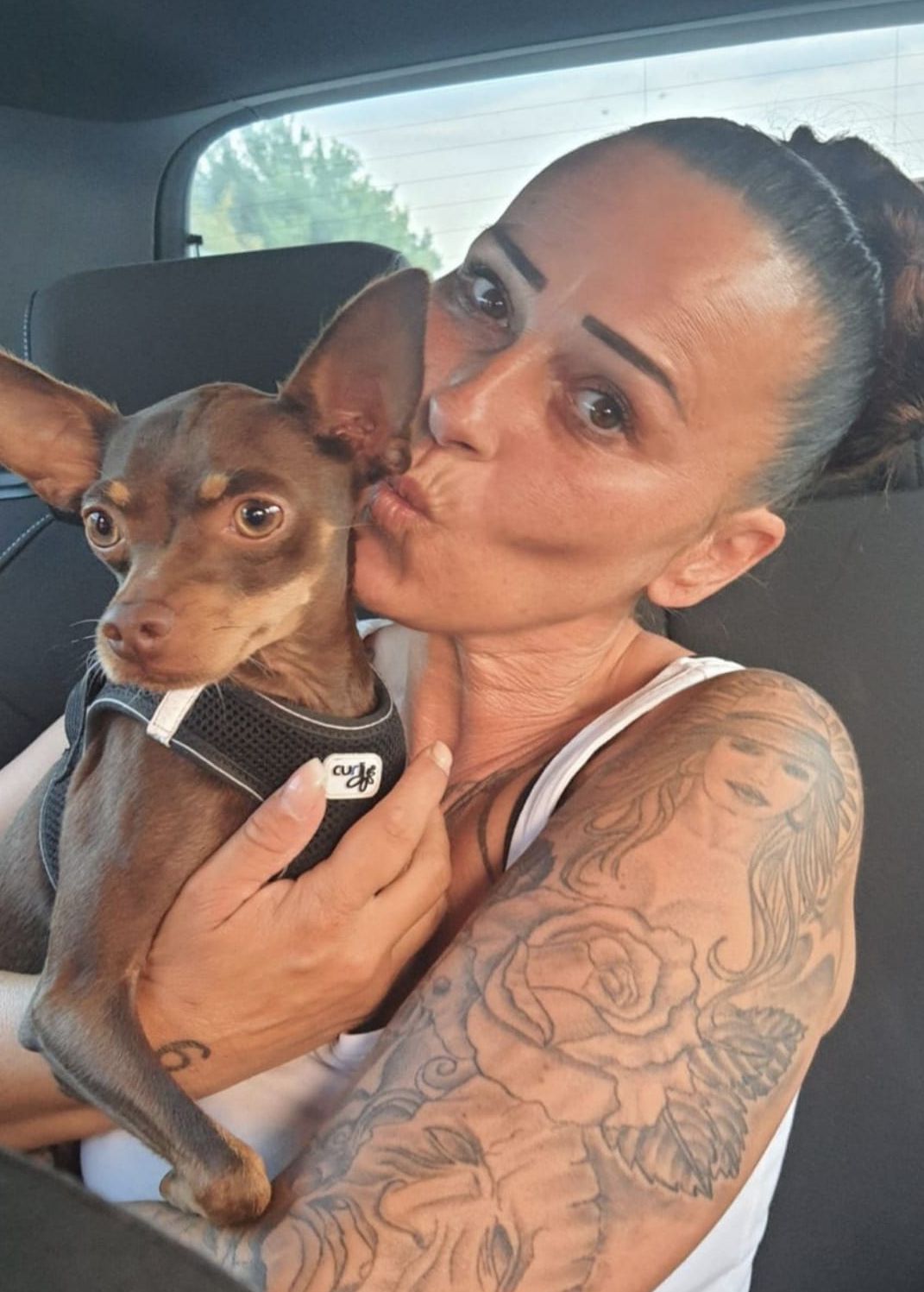 2f6d95a7-e2ec-4fc9-b8a9-9e1a1d78f771 2f6d95a7-e2ec-4fc9-b8a9-9e1a1d78f771